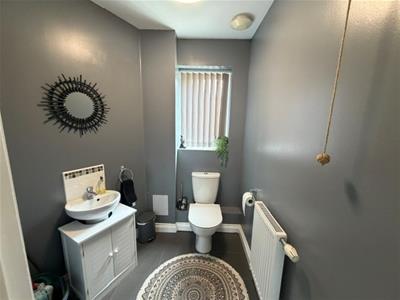 Picture 7